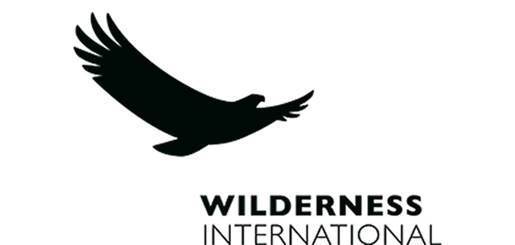 Wilderness Int